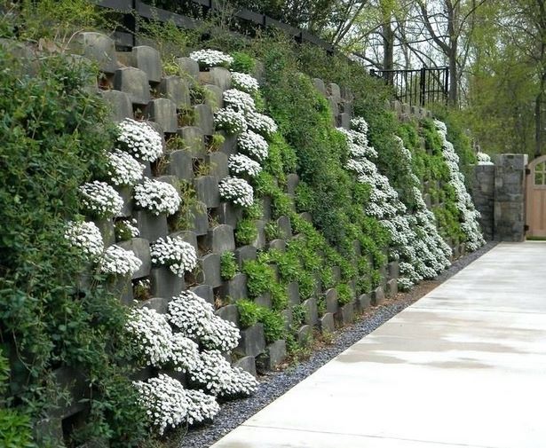 garden-wall-covering-ideas-98_12 Градинска стена, покриваща идеи