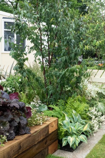 good-ideas-for-your-garden-31_13 Добри идеи за вашата градина