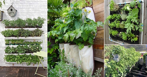 hanging-vegetable-garden-ideas-78_11 Висящи идеи за зеленчукова градина