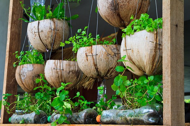 hanging-vegetable-garden-ideas-78_14 Висящи идеи за зеленчукова градина