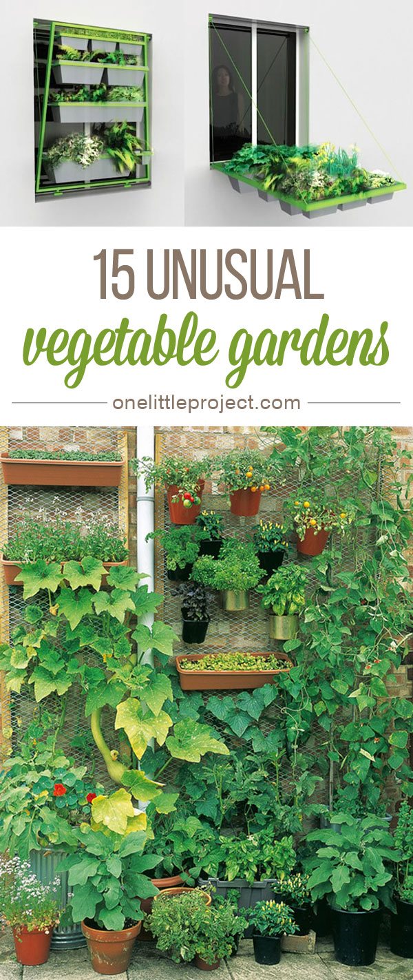 hanging-vegetable-garden-ideas-78_17 Висящи идеи за зеленчукова градина