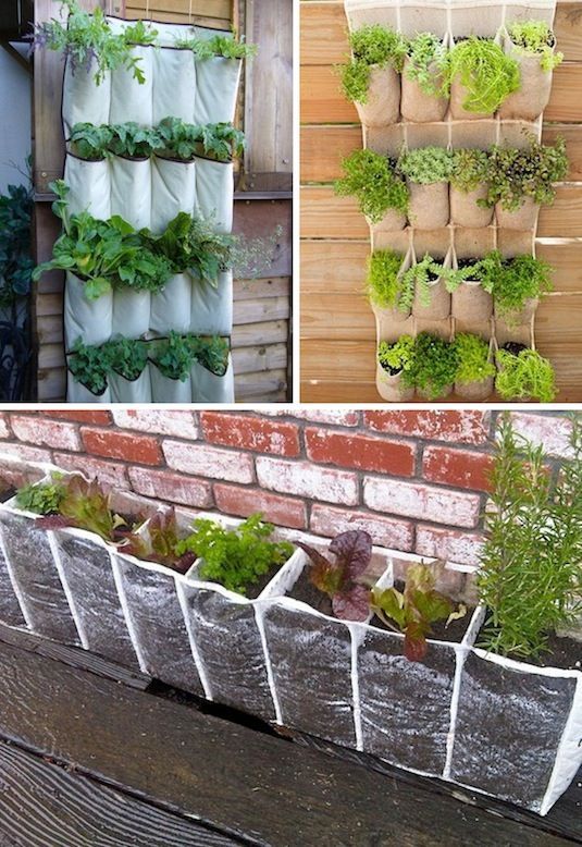 hanging-vegetable-garden-ideas-78_18 Висящи идеи за зеленчукова градина