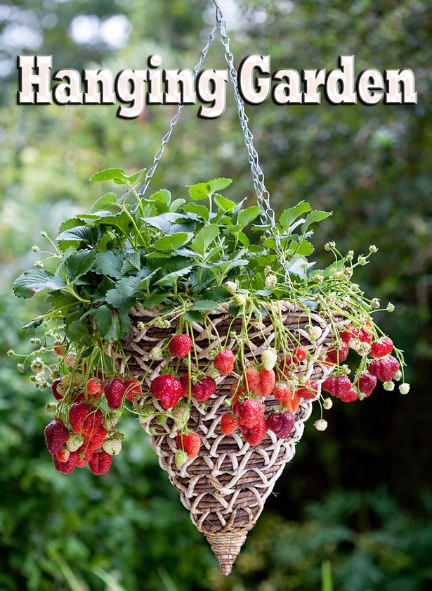 hanging-vegetable-garden-ideas-78_3 Висящи идеи за зеленчукова градина