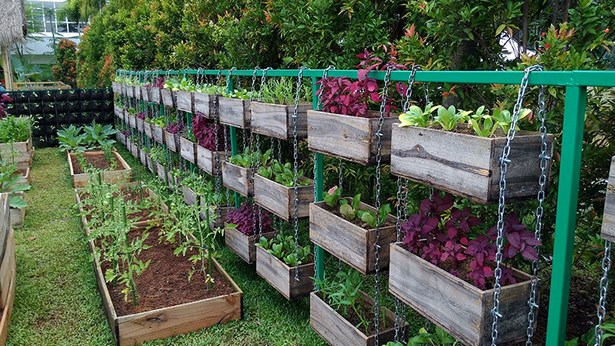 hanging-vegetable-garden-ideas-78_9 Висящи идеи за зеленчукова градина