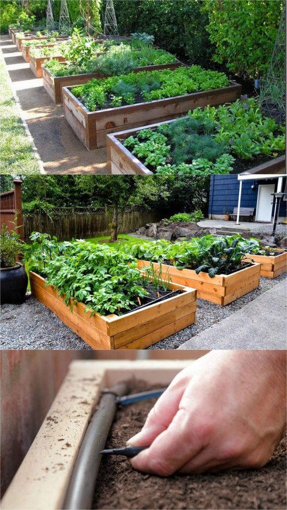 ideas-for-building-a-raised-garden-70_4 Идеи за изграждане на повдигната градина