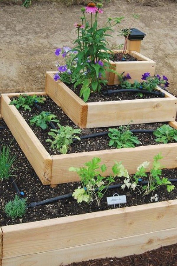 ideas-for-building-a-raised-garden-70_6 Идеи за изграждане на повдигната градина
