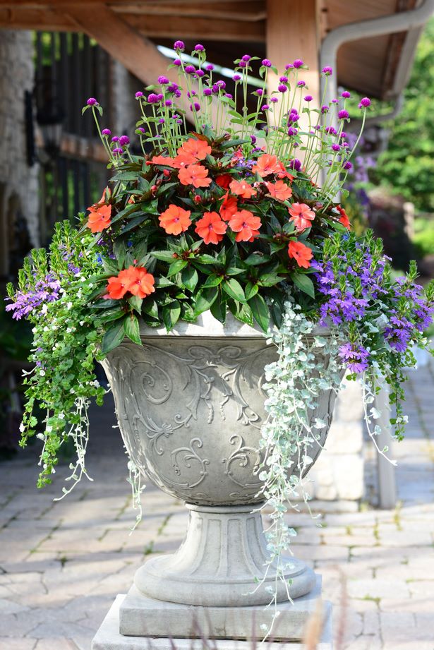 ideas-for-mixed-flower-pots-20_3 Идеи за смесени саксии за цветя