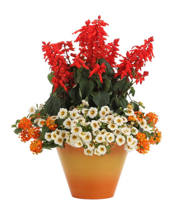 ideas-for-mixed-flower-pots-20_9 Идеи за смесени саксии за цветя
