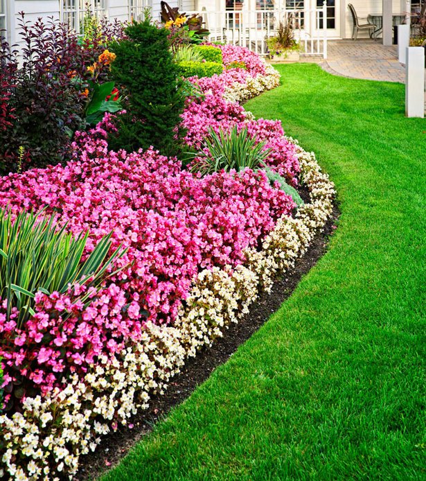 images-of-front-yard-flower-beds-69_3 Снимки на цветни лехи на предния двор