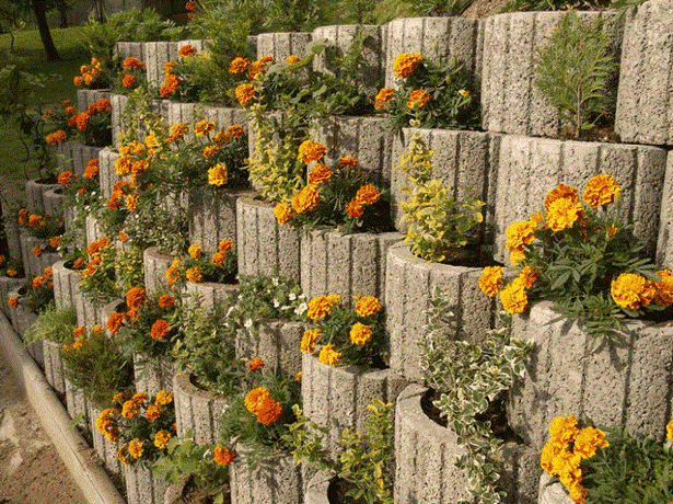 images-of-planters-with-flowers-74 Снимки на саксии с цветя
