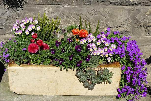 images-of-planters-with-flowers-74_10 Снимки на саксии с цветя
