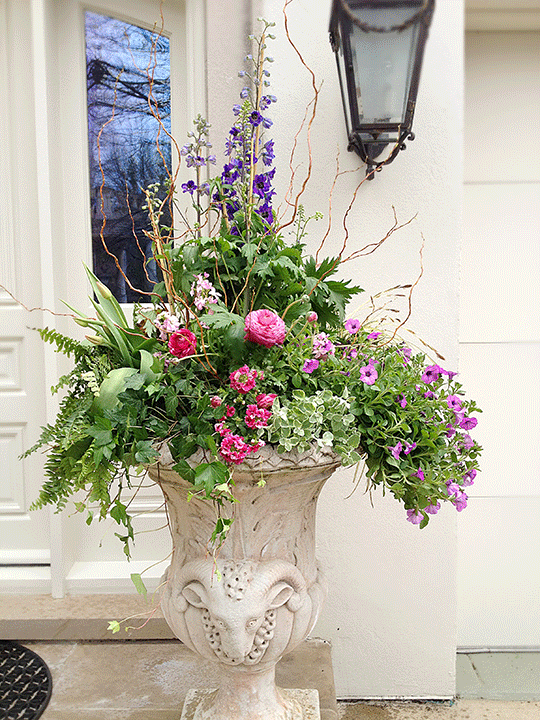 images-of-planters-with-flowers-74_2 Снимки на саксии с цветя