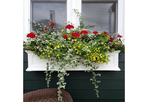 images-of-planters-with-flowers-74_6 Снимки на саксии с цветя