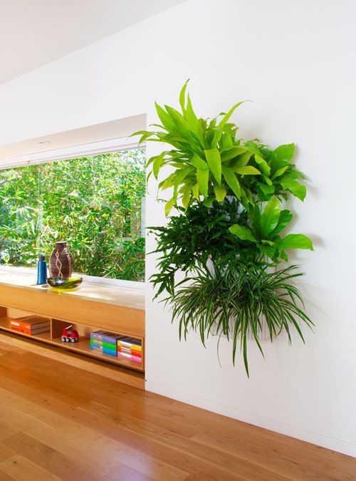 indoor-living-wall-planter-61 Вътрешен жива стена плантатор