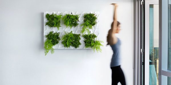 indoor-living-wall-planter-61_11 Вътрешен жива стена плантатор