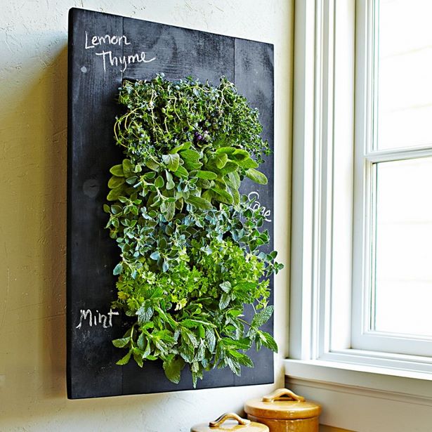 indoor-living-wall-planter-61_12 Вътрешен жива стена плантатор
