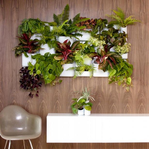 indoor-living-wall-planter-61_2 Вътрешен жива стена плантатор