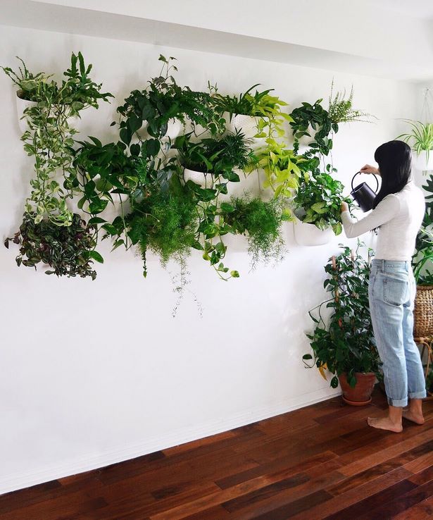 indoor-living-wall-planter-61_3 Вътрешен жива стена плантатор