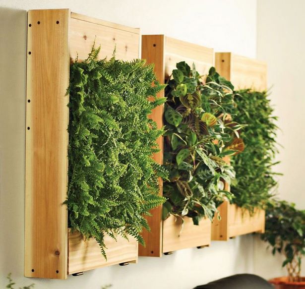 indoor-living-wall-planter-61_8 Вътрешен жива стена плантатор