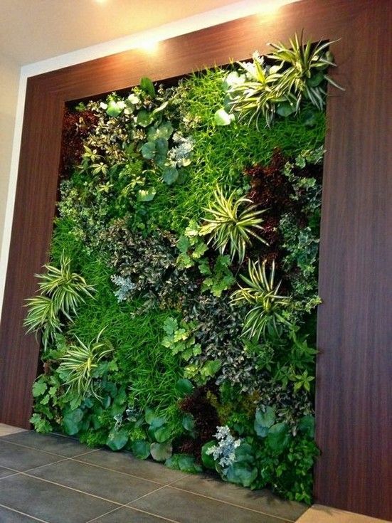 indoor-plant-wall-71_16 Стайни растения стена