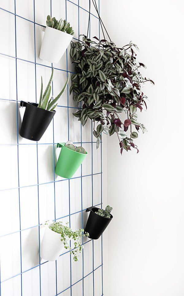 indoor-plant-wall-71_19 Стайни растения стена