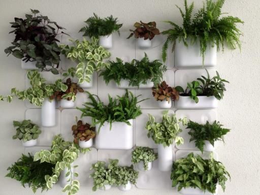 indoor-plant-wall-71_5 Стайни растения стена