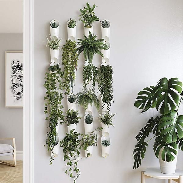 indoor-plant-wall-71_6 Стайни растения стена