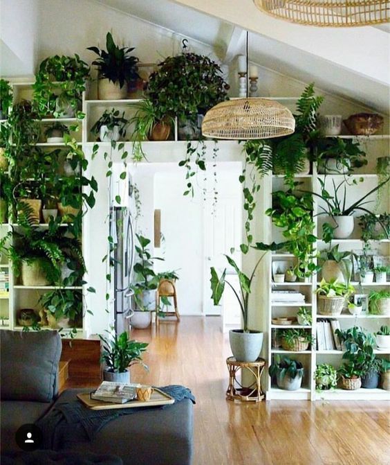 indoor-plant-wall-71_8 Стайни растения стена