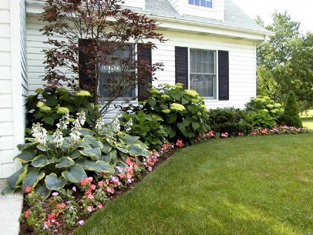 landscaping-basics-front-yard-50_14 Основи на озеленяването преден двор