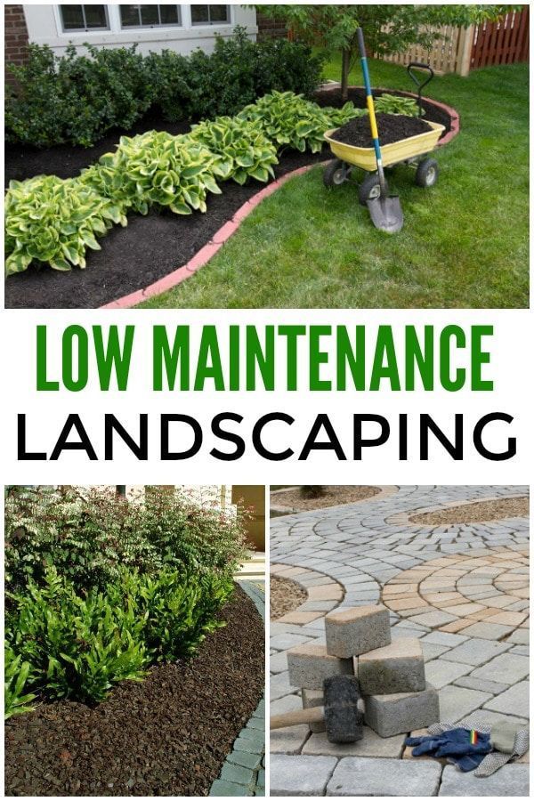landscaping-basics-front-yard-50_2 Основи на озеленяването преден двор