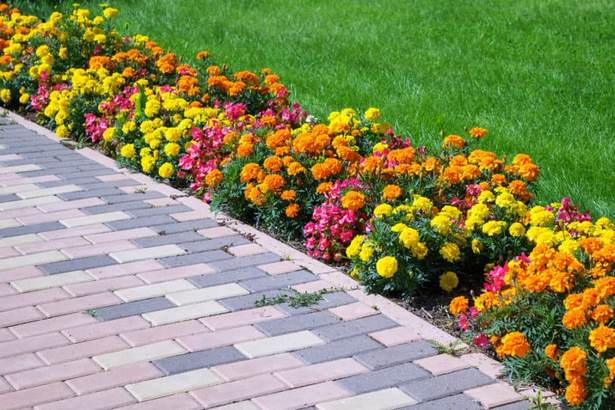 landscaping-borders-for-flower-beds-61_14 Озеленяване граници за цветни лехи