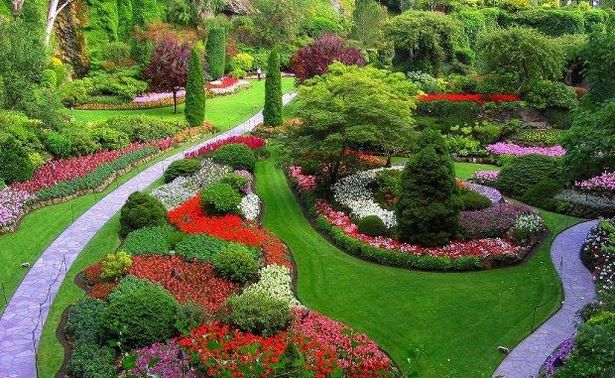 make-your-garden-beautiful-77 Направете градината си красива