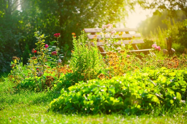 make-your-garden-beautiful-77_14 Направете градината си красива