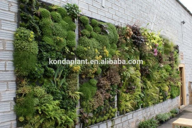 outdoor-plant-wall-38_13 Външна растителна стена