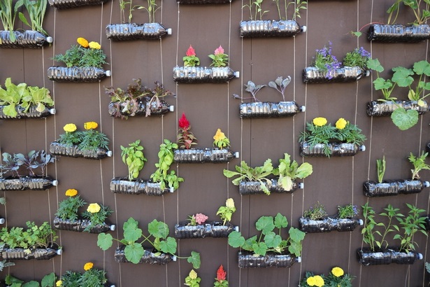 outdoor-wall-planter-ideas-97_15 Външна стена плантатор идеи