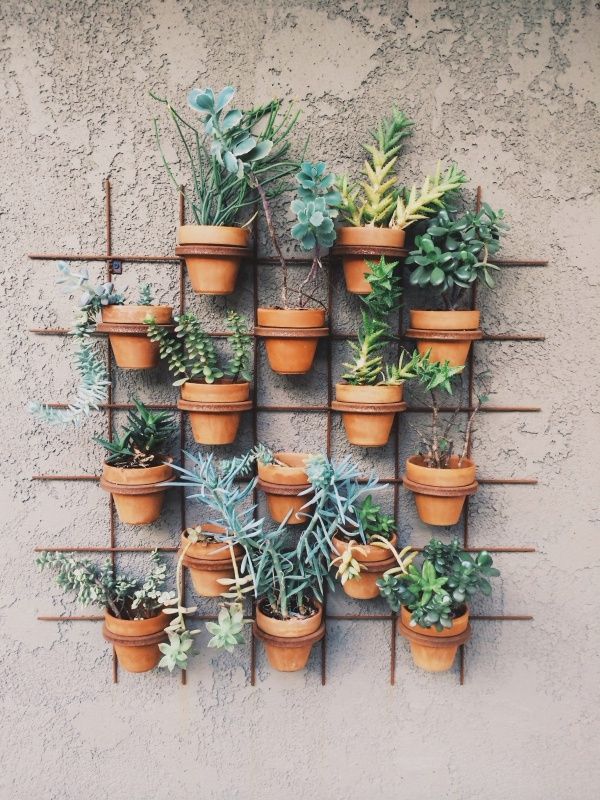 outdoor-wall-planter-ideas-97_18 Външна стена плантатор идеи