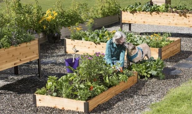 things-to-put-in-your-garden-32_6 Неща, които да поставите в градината си