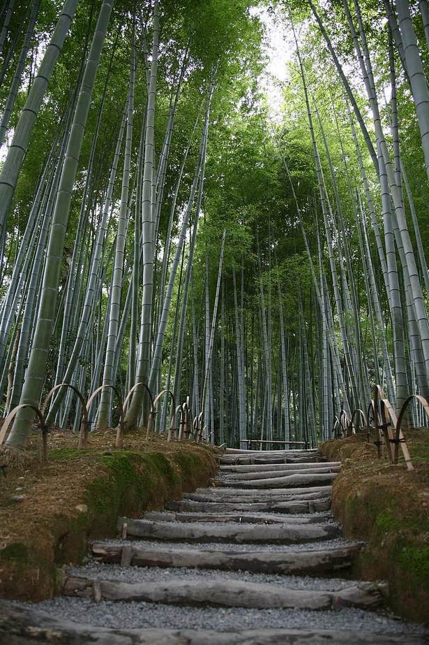 bamboo-garden-japan-00_5 Бамбукова градина Япония