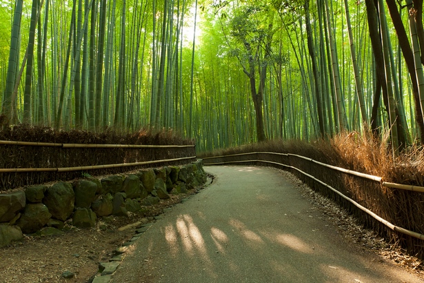 bamboo-garden-japan-00_9 Бамбукова градина Япония