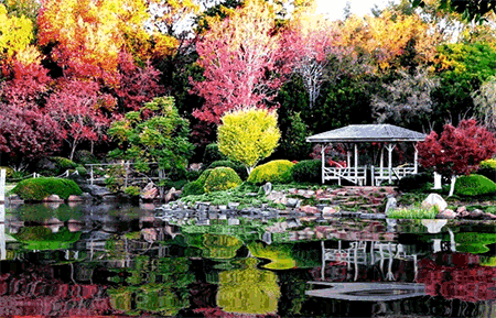 best-gardens-in-japan-77 Най-добрите градини в Япония