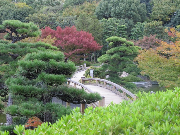 best-gardens-in-japan-77_10 Най-добрите градини в Япония