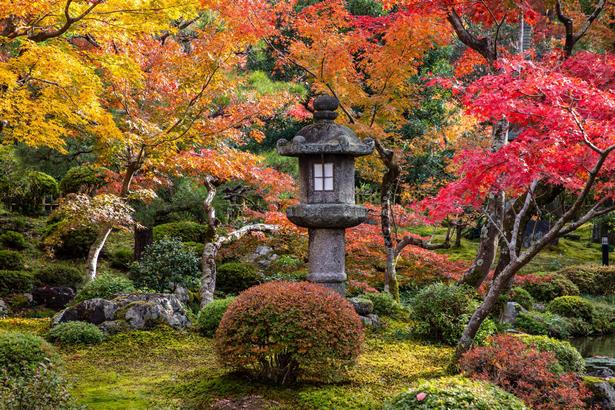 best-gardens-in-japan-77_4 Най-добрите градини в Япония