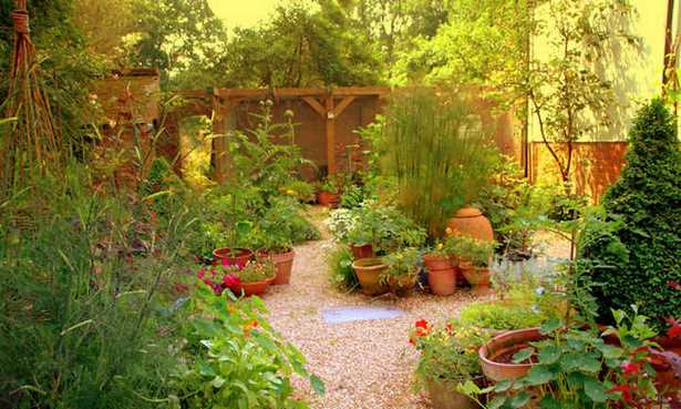 best-plants-for-small-outdoor-spaces-00 Най-добрите растения за малки открити пространства