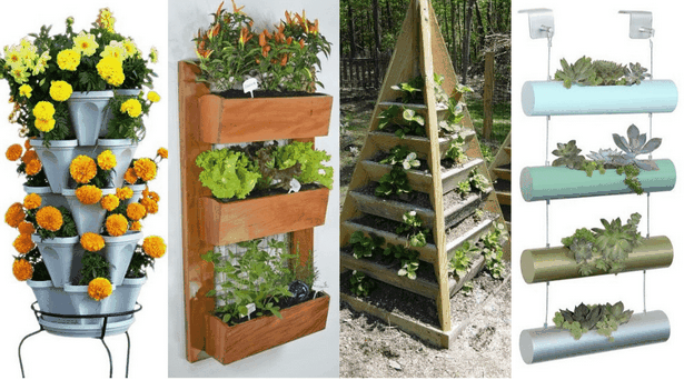 best-plants-for-small-outdoor-spaces-00 Най-добрите растения за малки открити пространства
