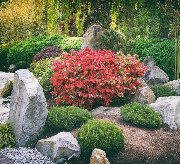 best-plants-for-zen-garden-31 Най-добрите растения за дзен градина