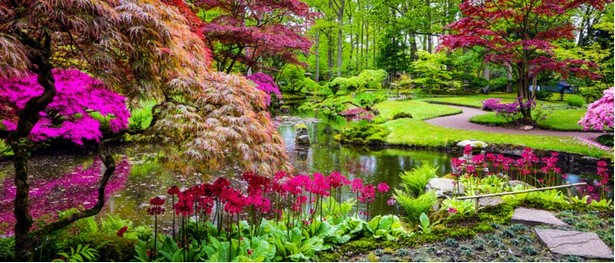 best-plants-for-zen-garden-31_4 Най-добрите растения за дзен градина