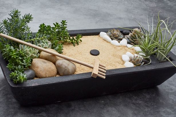 build-your-own-zen-garden-64_10 Създайте своя дзен градина