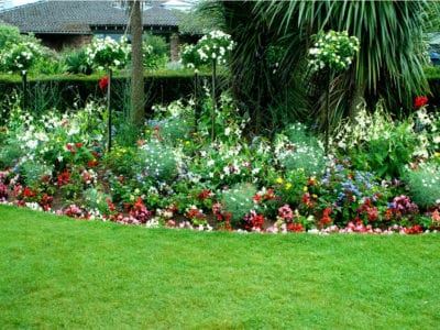 cheap-garden-border-plants-75_11 Евтини градински гранични растения