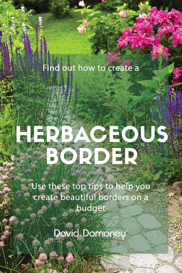 cheap-garden-border-plants-75_2 Евтини градински гранични растения