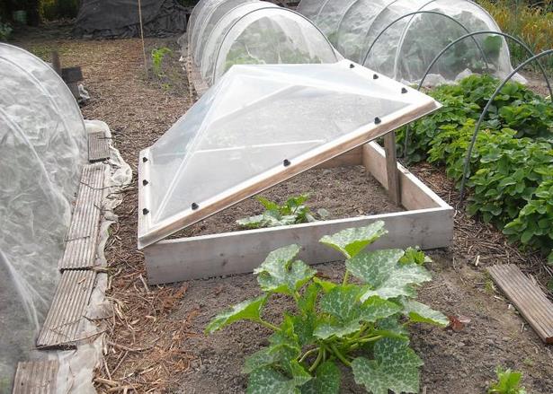cold-frames-for-raised-beds-89_11 Студени рамки за повдигнати легла